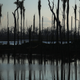 Image for article titled Big Donors Are Pulling Out of Brazil's Amazon Fund; That Could Spell Trouble for the Rainforest